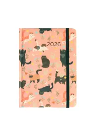 Di1 Kalendarz 2026 B6 dzienny Koty