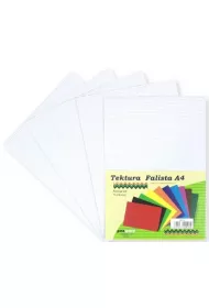 Penword Tektura A4 falista bia�a 5 szt.