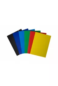 Bantex Teczka A4 lakierowana z gumk� jasnozielona