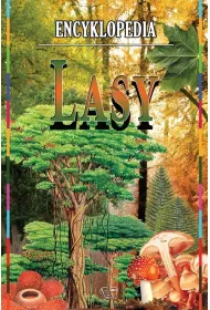 Encyklopedia. Lasy * *