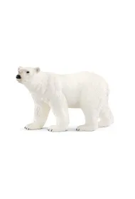 Nied�wied� polarny
