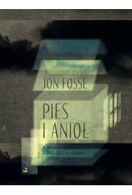Pies i anio�