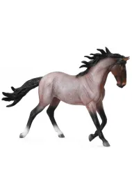 Klacz Mustang ma�ci Bay Roan