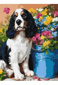 Ideyka Malowanie po numerach - Uroczy spaniel 30x40cm