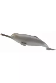 Collecta Delfin z rzeki Ganges