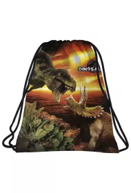 Derform Worek na obuwie Dinozaur 18