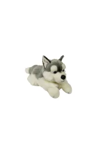 Pies Husky 61cm Dubi Plusz