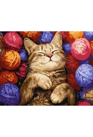 Ideyka Malowanie po numerach - Kot w pl�taninie 40x50cm