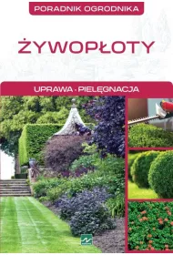 �ywop�oty. Uprawa piel�gnacja