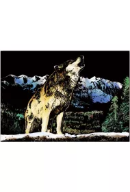 Twoje Hobby Wolf. Magiczna zdrapka - wydrapywanka 40.0 x 28.5 cm