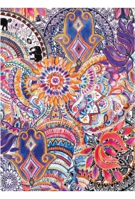 Museums & Galleries Karnet B6 z kopert� Jaipur Jem