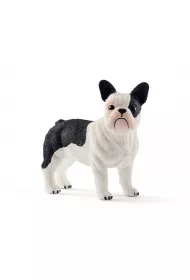 Buldog Francuski