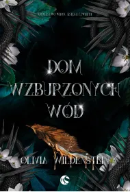 Dom wzburzonych w�d. Seria Kr�lestwo Wron. Ksi�ga 4