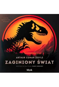 Audiobook Zaginiony wiat mp3