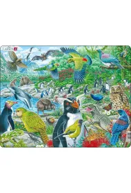 Puzzle Uk�adanka Nowa Zelandia Maxi Tactic
