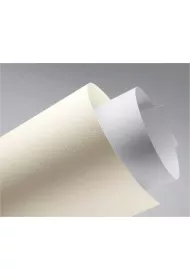 Argo Karton ozdobny Len 230 g 20 szt.