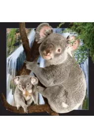 Worth Keeping Magnes 3D Koala