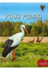 Ptaki Polski