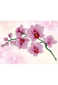 Dante Haft diamentowy - Orchidea DD6034 49x39cm