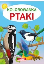 Ptaki kolorowanka