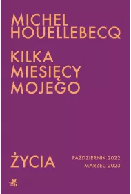 Kilka miesicy mojego ycia