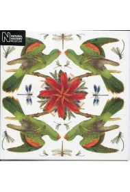 Museums & Galleries Karnet kwadrat z kopert� Red-winged Parrot