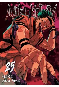 Jujutsu Kaisen. Tom 25