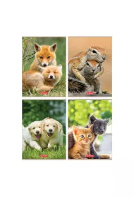 Herlitz Zeszyt A4 Animals mix kratka 32 kartki