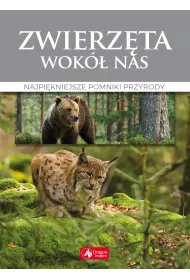 Zwierz�ta wok� nas Najpi�kniejsze gatunki