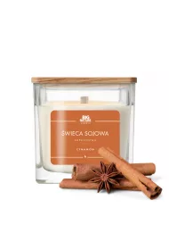 Big Nature wieca sojowa zapachowa Cynamon 205 g