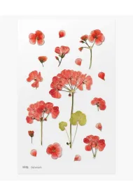 Appree Naklejki ozdobne kwiaty Geranium
