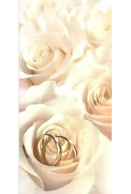 Art Nuvo Karnet �lub DL S03
