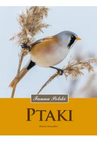 Ptaki. Fauna Polski