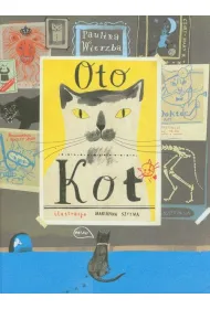 Oto kot