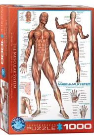 Puzzle 1000 el. Cz�owiek Eurographics