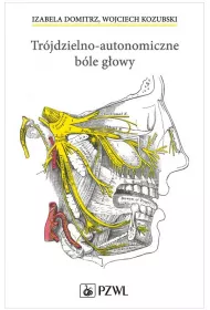 Tr�jdzielno-autonomiczne b�le g�owy