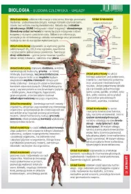Demart cigawka Biologia - Budowa Czowieka - Ukady