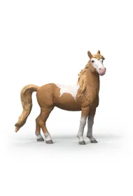 SLH klacz rasy Mustang 14920 20448