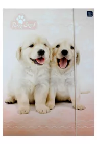 Teczka A4 z gumk Puppy sign