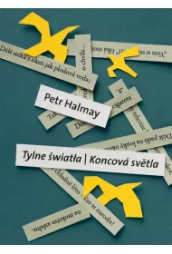 Tylne �wiat�a - Koncova svetla