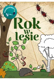 Rok w lesie. Kolorowanka