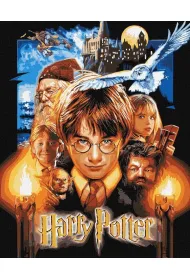 Ideyka Malowanie po numerach - Harry Potter metal 40x50cm