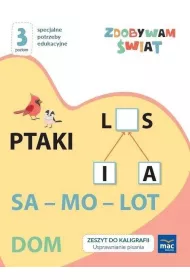 Zdobywam �wiat. Zeszyt do kaligrafii. Usprawnianie pisania. Poziom 3
