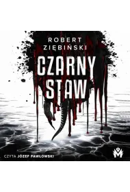 Audiobook Czarny Staw mp3