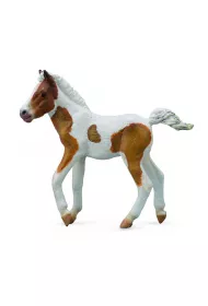 �rebi� rasy Dartmoor Hill 004-88735