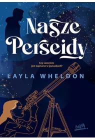 Nasze Perseidy