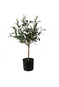 ProGarden Oliwne drzewko w donicy 66 cm