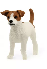 Jack Russell Terrier