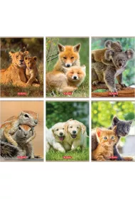 Herlitz Zeszyt A5 Animals dwie linie 32 kartki 10 szt.