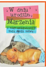 Trend Kartka okoliczno�ciowa Urodziny TS91